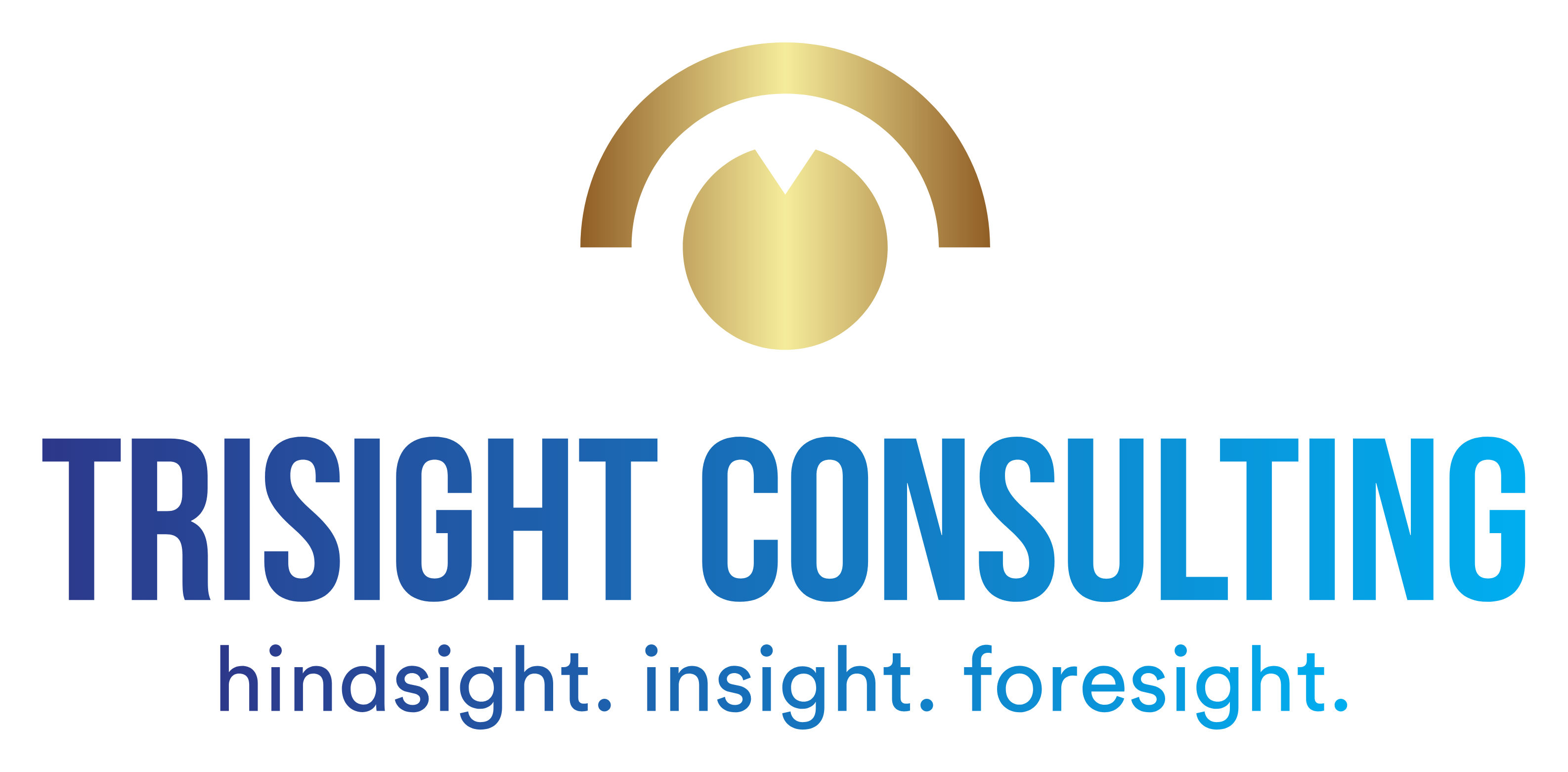 TRIsight Consulting LLC